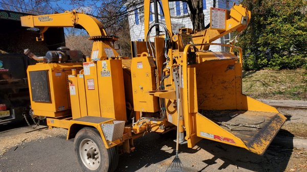 Green Point Tree Services & Landscaping