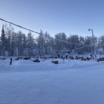 Alaskan Husky Adventures - The dog lot. - Sledding Near Me - Willow, Alaska