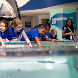 Discovery World - The Touch Tanks of the Reiman Aquarium
