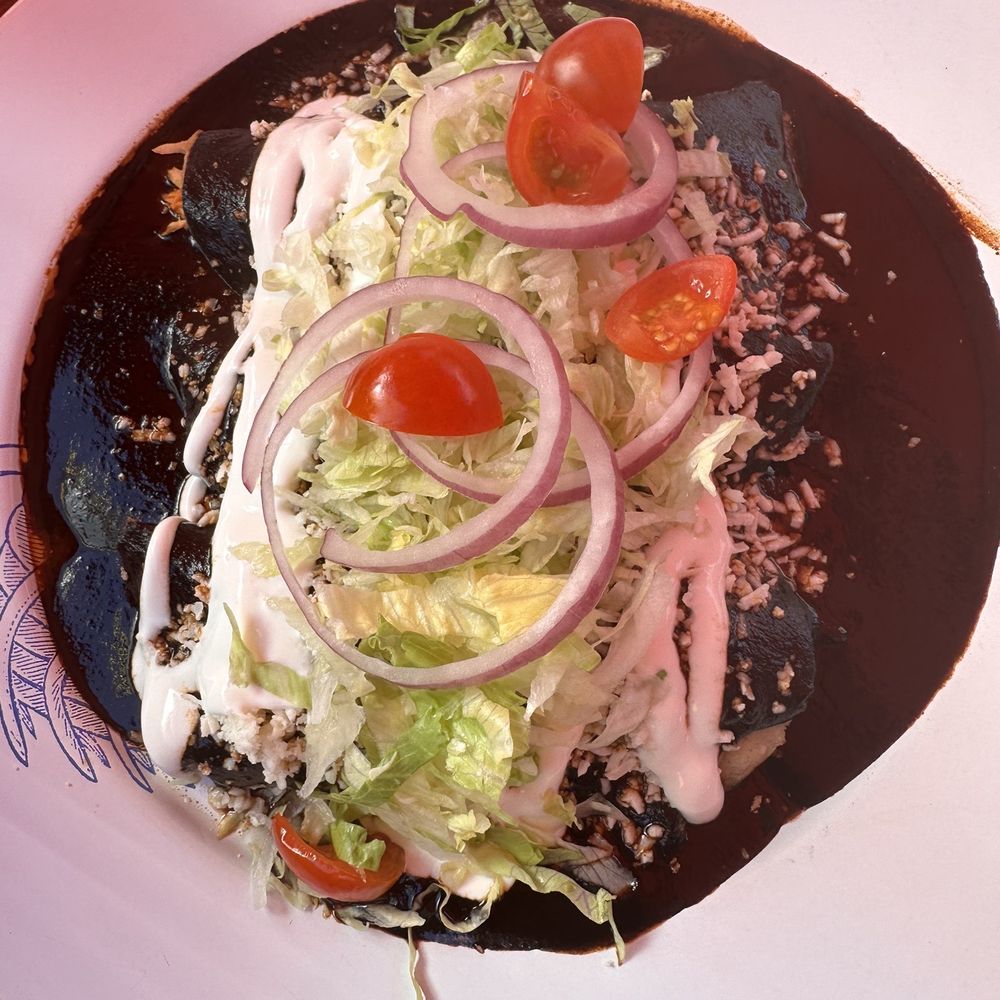 Don Gallo - Chicken enchiladas with mole - Mexican Near Me - Park City, Utah Don Gallo - Chicken enchiladas with mole - Mexican Near Me - Park City, Utah