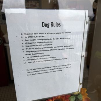 Belgian Waffle Works - Dog rules for patio - Burgers Near Me - Lake Arrowhead, California Belgian Waffle Works - Dog rules for patio - Burgers Near Me - Lake Arrowhead, California