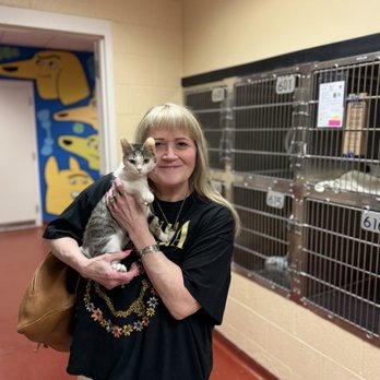 Cobb County Animal Services - Mama and Finn day 1 - Animal Shelters Near Me - Marietta, Georgia Cobb County Animal Services - Mama and Finn day 1 - Animal Shelters Near Me - Marietta, Georgia