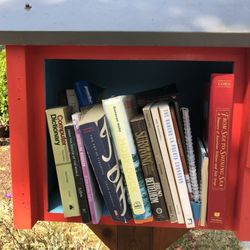 Little Free Library - No door!