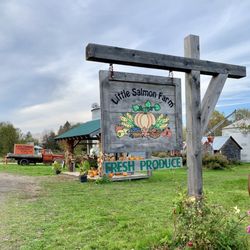 Little Salmon Farm - If you don't want to walk around the patch, there are neat things to check out right off the road!