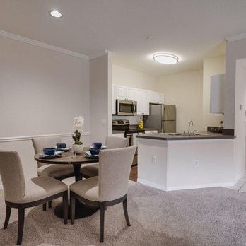 andover place at cross creek 86 photos apartments 10328 venitia real ave tampa fl phone number