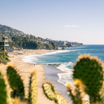 Treasure Island Park