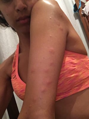 Books Hostel by null