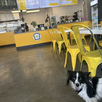 Eggbred - Breakfast & Brunch Near Me - Long Beach, California Eggbred - Breakfast & Brunch Near Me - Long Beach, California