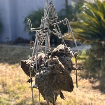 Gopher Stop - Pest Control Near Me Gopher Stop - Pest Control Near Me