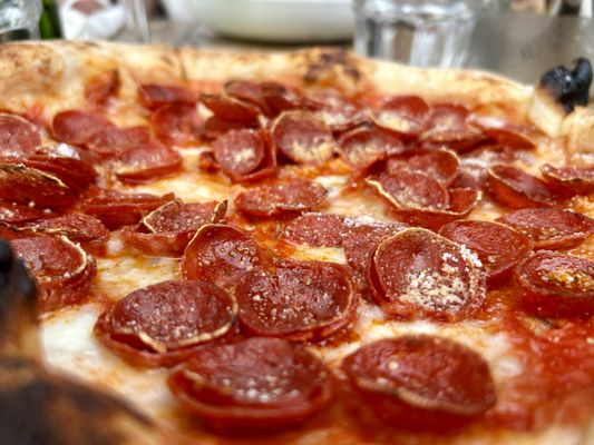 Gusto 101 by null