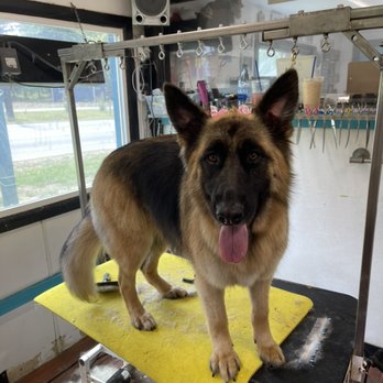 The Pet House - Pet Services Near Me - McKenna, Washington The Pet House - Pet Services Near Me - McKenna, Washington