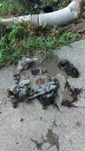 Slide of 123 Plumbing Kansas City