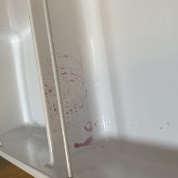 Rodeway Inn - Inside Refrigerator - Hotels Near Me - Laurel, Mississippi