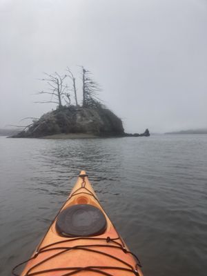 Blue Waters Kayaking by null