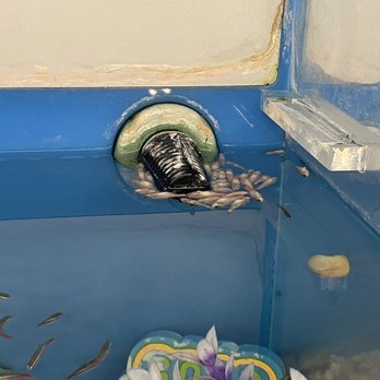 PetSmart - And on the filters?! - Pet Stores Near Me - Stafford, Virginia