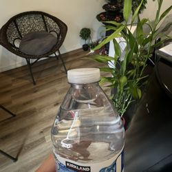 Bellflower Thai Massage - Free water or tea