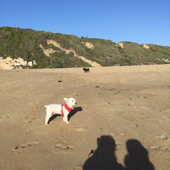 Boony Doon Beach - Beaches Near Me - Santa Cruz, California Boony Doon Beach - Beaches Near Me - Santa Cruz, California