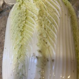 Slimy moldy Napa cabbage!!! Slimy moldy Napa cabbage!!!