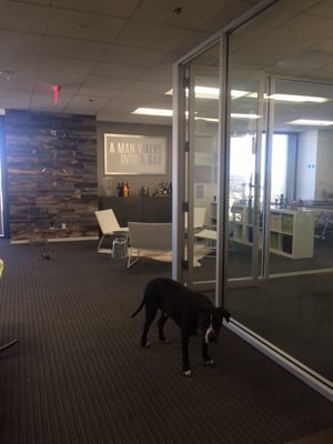 Wright Brothers, Inc. by null