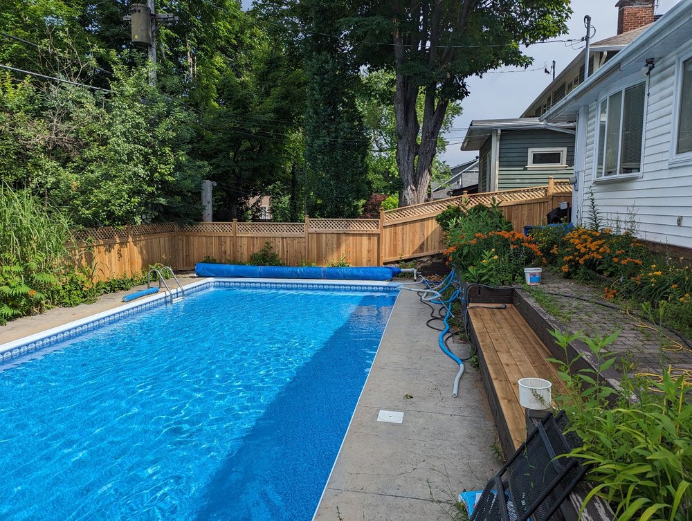 WOODY WOODPECKERS Updated August 2024 12 Photos Rockland, Ontario