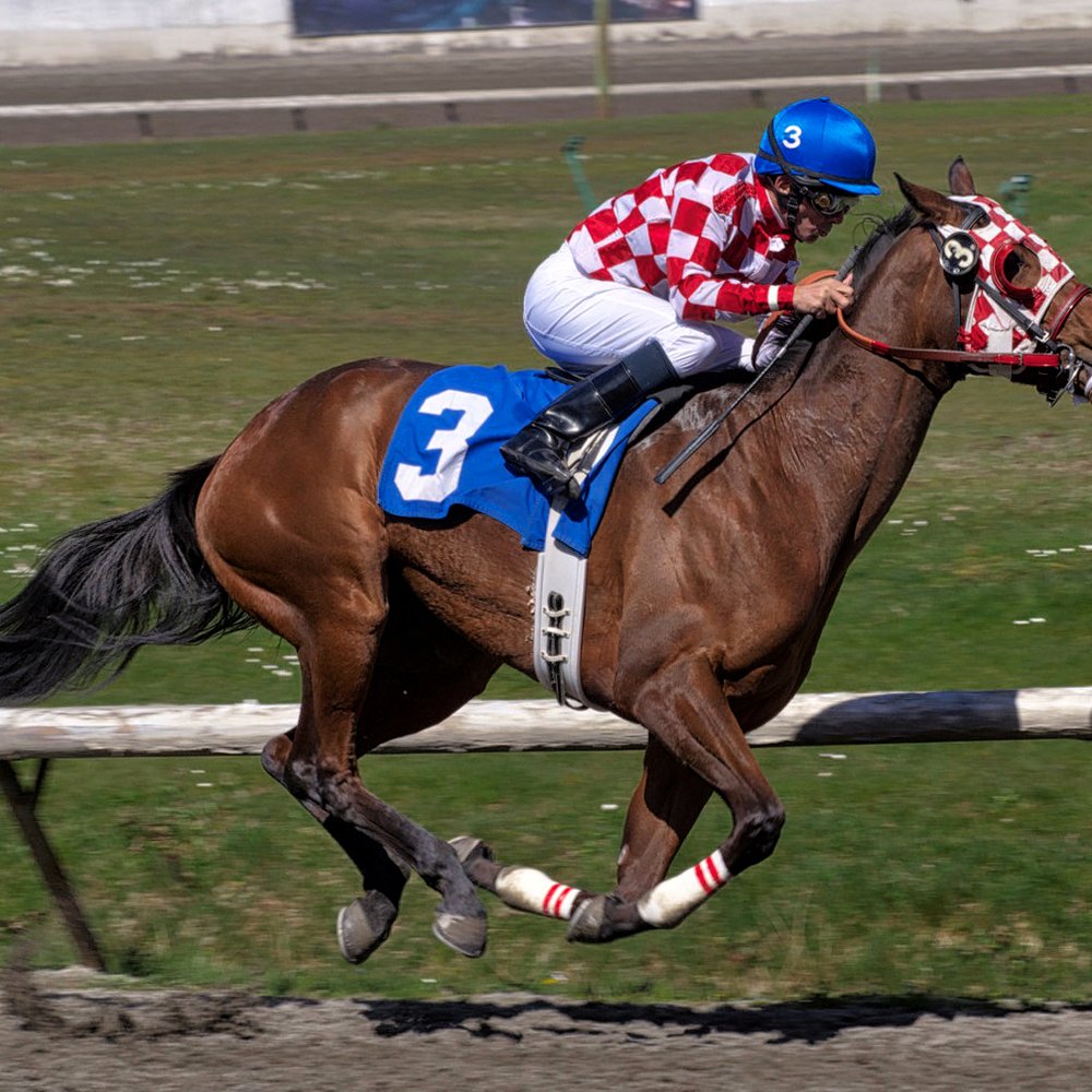 Hastings Casino - All up and flying! - Race Tracks Near Me - Vancouver, British Columbia Hastings Casino - All up and flying! - Race Tracks Near Me - Vancouver, British Columbia