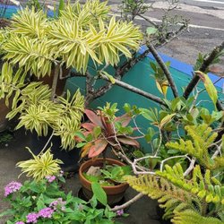 Sunshine Arts Hawaii - Outside