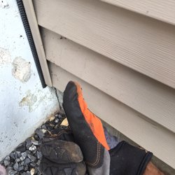 Tri State Wildlife Exclusion. - Pest blocker to Excluded Wasp other climbing insects