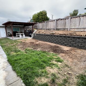 TC Environmental Service - Palms are gone - Tree Services Near Me - San Diego, California