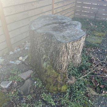 Dylan Stump Removal - Before - Tree Services Near Me Dylan Stump Removal - Before - Tree Services Near Me