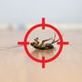Photo of The Terminator Pest Control Service