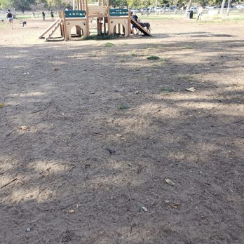 ROHR DOG PARK - Updated August 2024 - 95 Photos & 24 Reviews - 3605