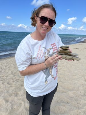 Indiana Dunes National Park by null