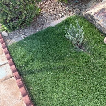 M&D Trees & Landscape - Turf. - Tree Services Near Me - Enterprise, Nevada