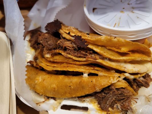 La Divina Tacos by null