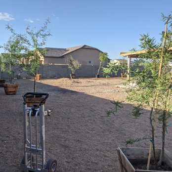 Estrella Valley Landscaping - a cart with a tree in it - Landscaping Near Me Estrella Valley Landscaping - a cart with a tree in it - Landscaping Near Me