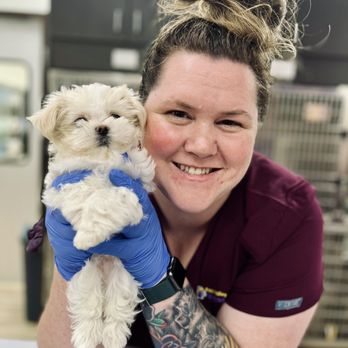 East Valley Urgent Pet Care - Veterinarians Near Me - Mesa, Arizona East Valley Urgent Pet Care - Veterinarians Near Me - Mesa, Arizona