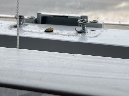 Sea Crest Beach Resort by null