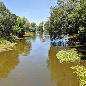 Couturie Forest - Parks Near Me - New Orleans, Louisiana Couturie Forest - Parks Near Me - New Orleans, Louisiana