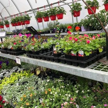 Buckerfield's - Pet Stores Near Me - Abbotsford, British Columbia Buckerfield's - Pet Stores Near Me - Abbotsford, British Columbia