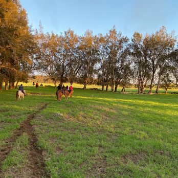 Paniolo Adventures - Cruz'n with my horse in the beautiful Kohala mountains - Horseback Riding Near Me Paniolo Adventures - Cruz'n with my horse in the beautiful Kohala mountains - Horseback Riding Near Me