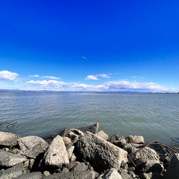 Coyote Point Recreation Area - Parks Near Me - San Mateo, California
