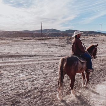 Wild West Horseback Adventures - Cowboy guide - Horseback Riding Near Me - Las Vegas, Nevada Wild West Horseback Adventures - Cowboy guide - Horseback Riding Near Me - Las Vegas, Nevada