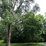 Photo of Oxbow Park
