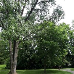 Oxbow Park