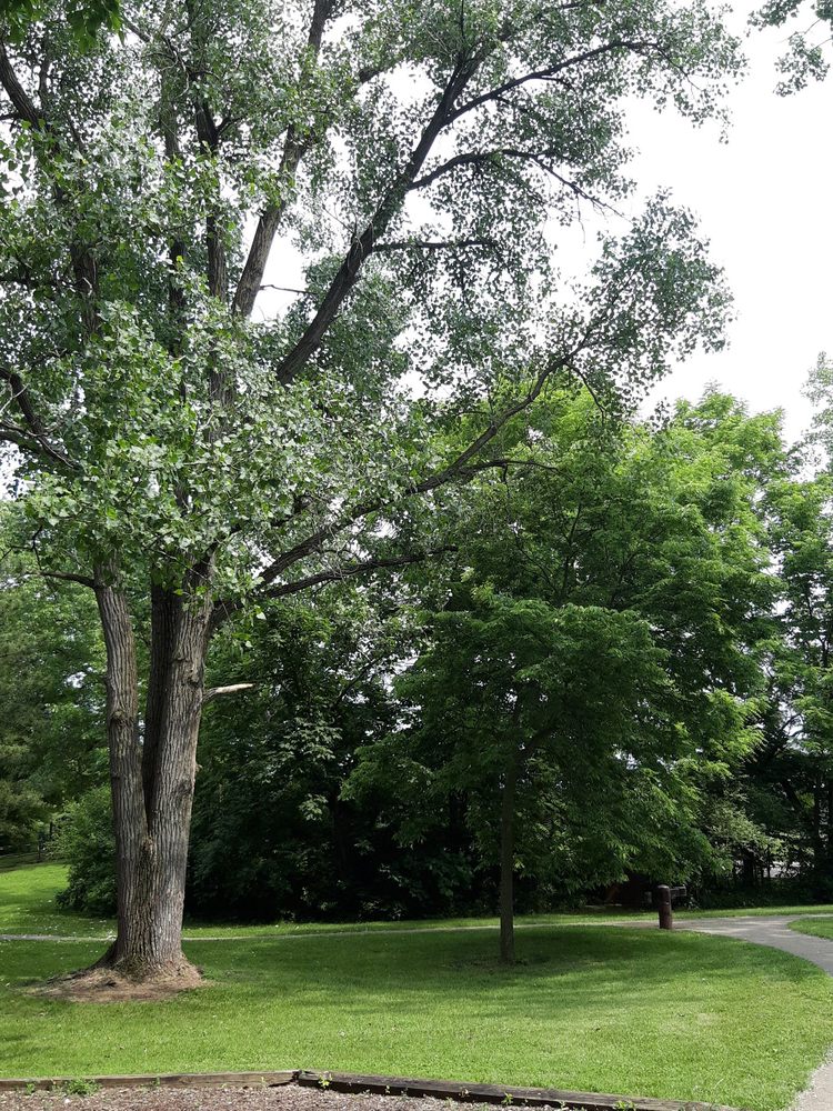 Social spots from Oxbow Park