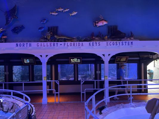 Key West Aquarium by null