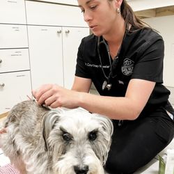 River Road Veterinary Hospital