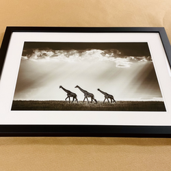 Framing by Art Galaxy