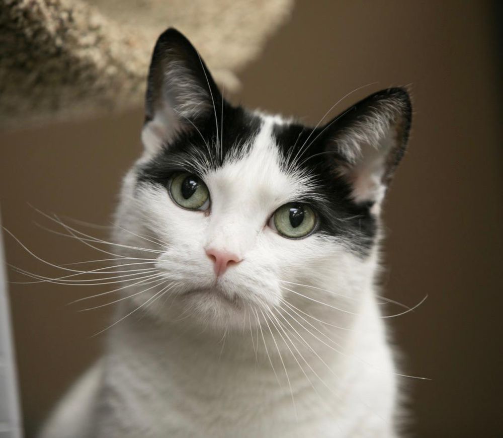 BUSCH PET PRODUCTS Updated August 2024 15 Photos & 10 Reviews