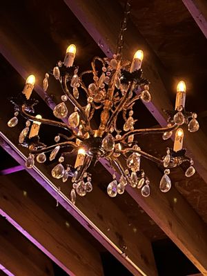 Velveteen Rabbit by null